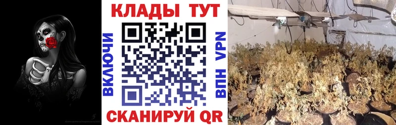 Купить наркотик Ленинск АМФЕТАМИН  COCAIN  Экстази  ГАШ  A PVP  Меф мяу мяу 