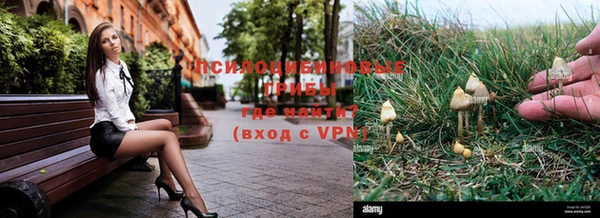 а пвп мука Алзамай