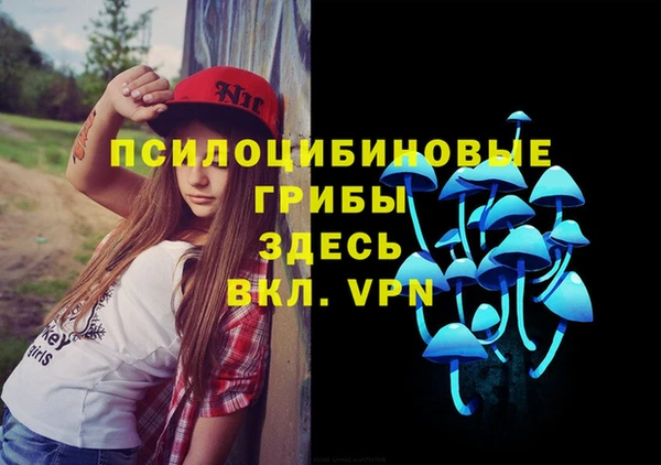 а пвп мука Алзамай
