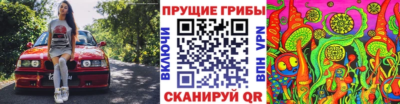 блэк спрут вход  купить закладку  Ленинск  Галлюциногенные грибы прущие грибы 